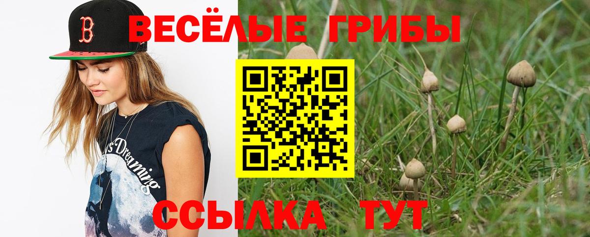 Амфетамин   ГАШИШ  Бошки Шишки  Codein  Вход с VPN  Киров  Мефедрон   А ПВП СОЛЬ кристаллы  ГАШИШ 