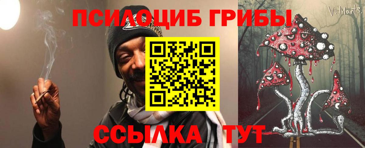 Галлюциногенные грибы GOLDEN TEACHER Киров