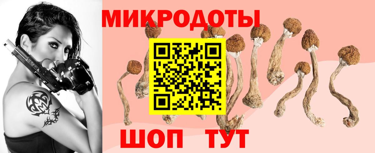 Галлюциногенные грибы MAGIC MUSHROOMS  Вход с VPN  Киров  Галлюциногенные грибы GOLDEN TEACHER 